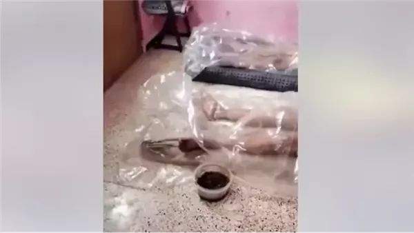 لمحة نيوز